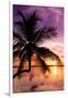 Palm Paradise at Sunset - Florida - USA-Philippe Hugonnard-Framed Photographic Print