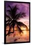 Palm Paradise at Sunset - Florida - USA-Philippe Hugonnard-Framed Photographic Print