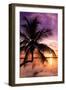 Palm Paradise at Sunset - Florida - USA-Philippe Hugonnard-Framed Photographic Print