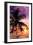 Palm Paradise at Sunset - Florida - USA-Philippe Hugonnard-Framed Photographic Print