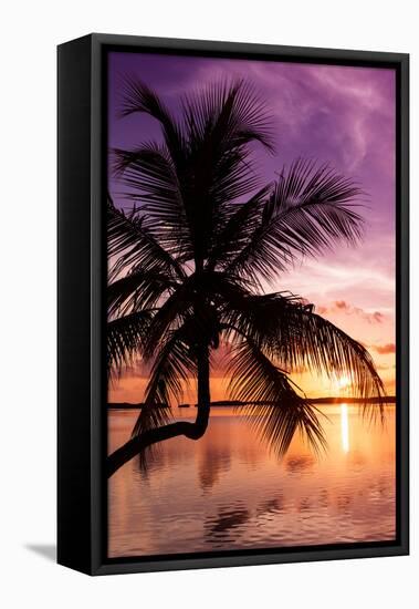 Palm Paradise at Sunset - Florida - USA-Philippe Hugonnard-Framed Stretched Canvas