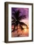 Palm Paradise at Sunset - Florida - USA-Philippe Hugonnard-Framed Photographic Print