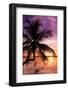 Palm Paradise at Sunset - Florida - USA-Philippe Hugonnard-Framed Photographic Print