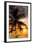 Palm Paradise at Sunset - Florida - USA-Philippe Hugonnard-Framed Photographic Print