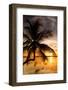 Palm Paradise at Sunset - Florida - USA-Philippe Hugonnard-Framed Photographic Print