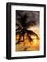 Palm Paradise at Sunset - Florida - USA-Philippe Hugonnard-Framed Photographic Print