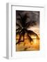 Palm Paradise at Sunset - Florida - USA-Philippe Hugonnard-Framed Photographic Print