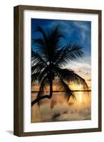 Palm Paradise at Sunset - Florida - USA-Philippe Hugonnard-Framed Photographic Print
