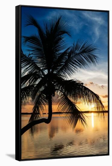 Palm Paradise at Sunset - Florida - USA-Philippe Hugonnard-Framed Stretched Canvas