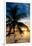 Palm Paradise at Sunset - Florida - USA-Philippe Hugonnard-Framed Photographic Print