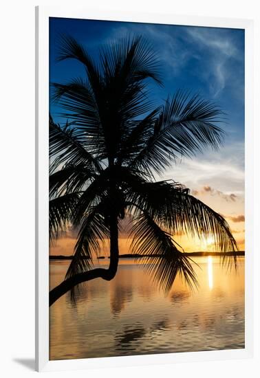 Palm Paradise at Sunset - Florida - USA-Philippe Hugonnard-Framed Photographic Print