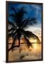 Palm Paradise at Sunset - Florida - USA-Philippe Hugonnard-Framed Photographic Print