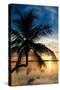 Palm Paradise at Sunset - Florida - USA-Philippe Hugonnard-Stretched Canvas