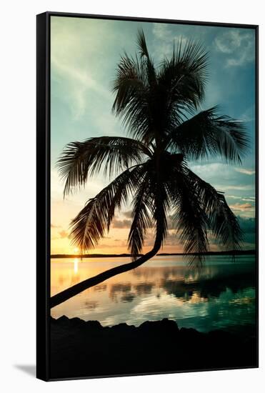 Palm Paradise at Sunset - Florida - USA-Philippe Hugonnard-Framed Stretched Canvas