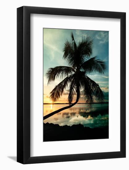 Palm Paradise at Sunset - Florida - USA-Philippe Hugonnard-Framed Photographic Print