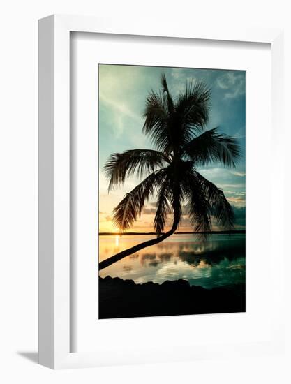 Palm Paradise at Sunset - Florida - USA-Philippe Hugonnard-Framed Photographic Print