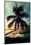 Palm Paradise at Sunset - Florida - USA-Philippe Hugonnard-Mounted Photographic Print