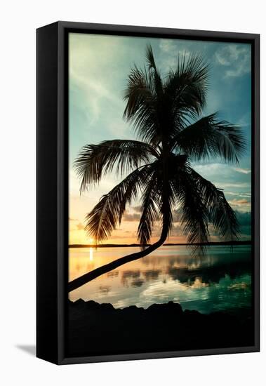 Palm Paradise at Sunset - Florida - USA-Philippe Hugonnard-Framed Stretched Canvas