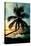 Palm Paradise at Sunset - Florida - USA-Philippe Hugonnard-Stretched Canvas