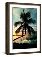 Palm Paradise at Sunset - Florida - USA-Philippe Hugonnard-Framed Photographic Print