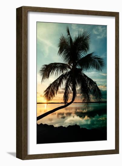 Palm Paradise at Sunset - Florida - USA-Philippe Hugonnard-Framed Photographic Print