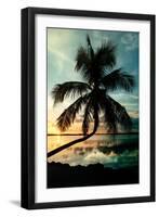 Palm Paradise at Sunset - Florida - USA-Philippe Hugonnard-Framed Photographic Print