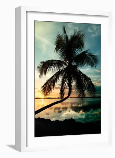 Palm Paradise at Sunset - Florida - USA-Philippe Hugonnard-Framed Photographic Print