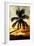 Palm Paradise at Sunset - Florida - USA-Philippe Hugonnard-Framed Photographic Print