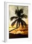 Palm Paradise at Sunset - Florida - USA-Philippe Hugonnard-Framed Photographic Print