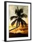 Palm Paradise at Sunset - Florida - USA-Philippe Hugonnard-Framed Photographic Print