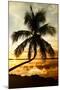 Palm Paradise at Sunset - Florida - USA-Philippe Hugonnard-Mounted Photographic Print