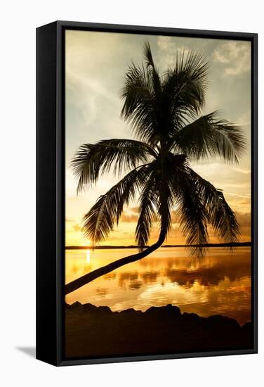 Palm Paradise at Sunset - Florida - USA-Philippe Hugonnard-Framed Stretched Canvas