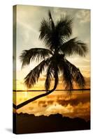 Palm Paradise at Sunset - Florida - USA-Philippe Hugonnard-Stretched Canvas