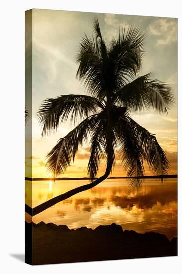 Palm Paradise at Sunset - Florida - USA-Philippe Hugonnard-Stretched Canvas