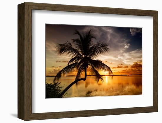 Palm Paradise at Sunset - Florida - USA-Philippe Hugonnard-Framed Photographic Print