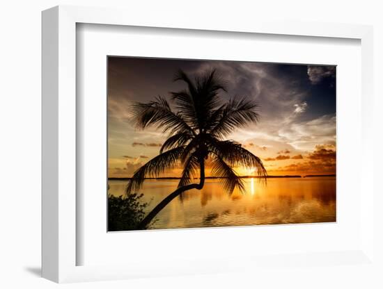 Palm Paradise at Sunset - Florida - USA-Philippe Hugonnard-Framed Photographic Print