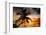 Palm Paradise at Sunset - Florida - USA-Philippe Hugonnard-Framed Photographic Print