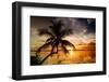 Palm Paradise at Sunset - Florida - USA-Philippe Hugonnard-Framed Premium Photographic Print