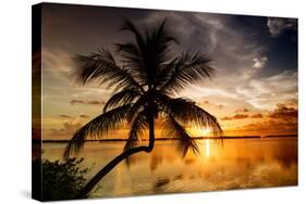 Palm Paradise at Sunset - Florida - USA-Philippe Hugonnard-Stretched Canvas