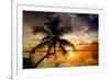 Palm Paradise at Sunset - Florida - USA-Philippe Hugonnard-Framed Photographic Print