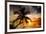 Palm Paradise at Sunset - Florida - USA-Philippe Hugonnard-Framed Photographic Print