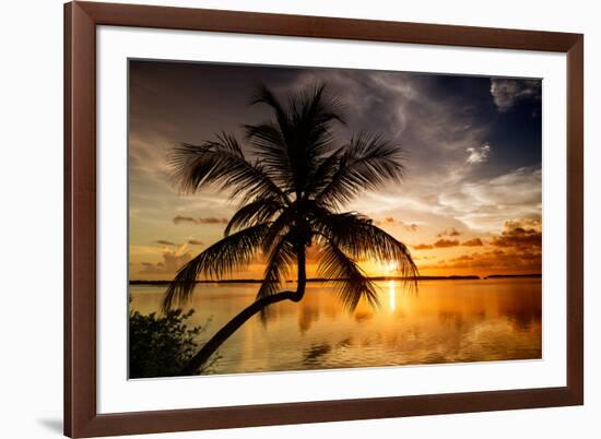 Palm Paradise at Sunset - Florida - USA-Philippe Hugonnard-Framed Photographic Print