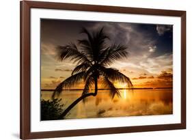 Palm Paradise at Sunset - Florida - USA-Philippe Hugonnard-Framed Photographic Print