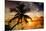 Palm Paradise at Sunset - Florida - USA-Philippe Hugonnard-Mounted Photographic Print