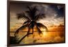 Palm Paradise at Sunset - Florida - USA-Philippe Hugonnard-Framed Photographic Print