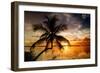 Palm Paradise at Sunset - Florida - USA-Philippe Hugonnard-Framed Photographic Print