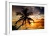 Palm Paradise at Sunset - Florida - USA-Philippe Hugonnard-Framed Photographic Print