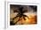 Palm Paradise at Sunset - Florida - USA-Philippe Hugonnard-Framed Photographic Print