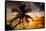 Palm Paradise at Sunset - Florida - USA-Philippe Hugonnard-Framed Stretched Canvas