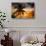 Palm Paradise at Sunset - Florida - USA-Philippe Hugonnard-Stretched Canvas displayed on a wall